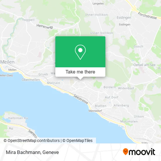 Mira Bachmann map