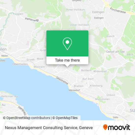Nexus Management Consulting Service map