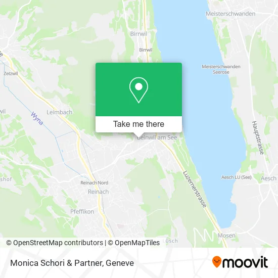 Monica Schori & Partner map