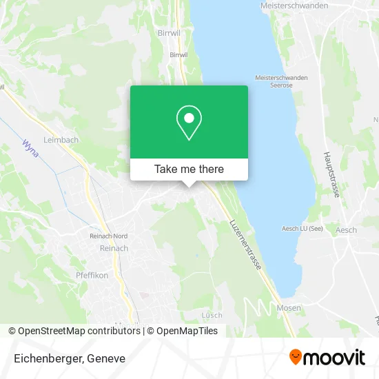 Eichenberger map