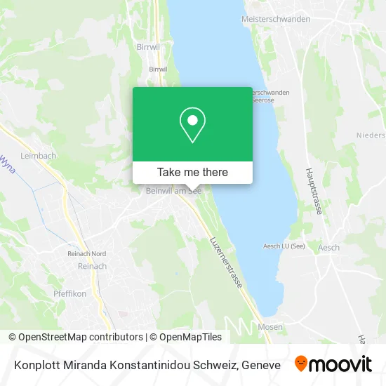 Konplott Miranda Konstantinidou Schweiz plan