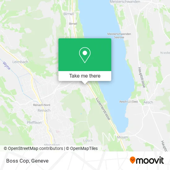 Boss Cop map