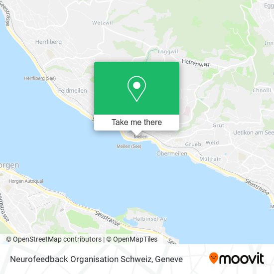 Neurofeedback Organisation Schweiz map