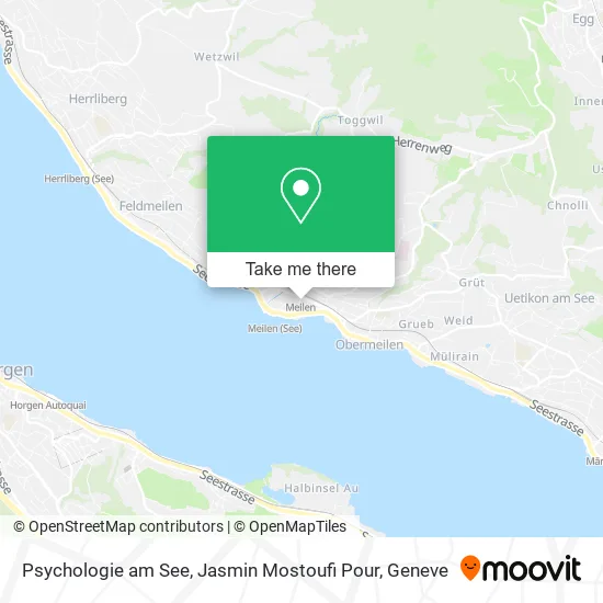 Psychologie am See, Jasmin Mostoufi Pour map