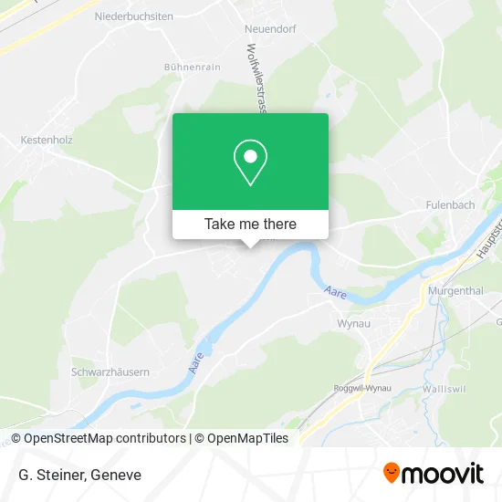 G. Steiner map