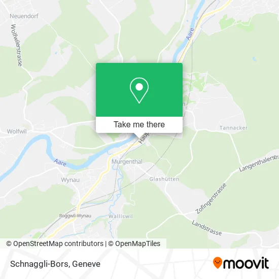 Schnaggli-Bors map