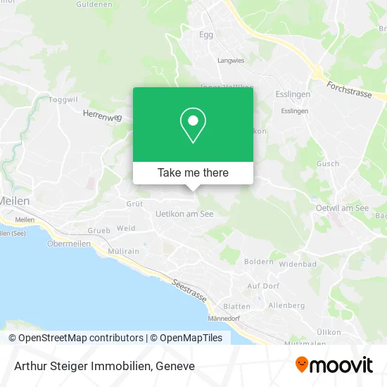 Arthur Steiger Immobilien map