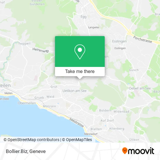 Bollier.Biz map
