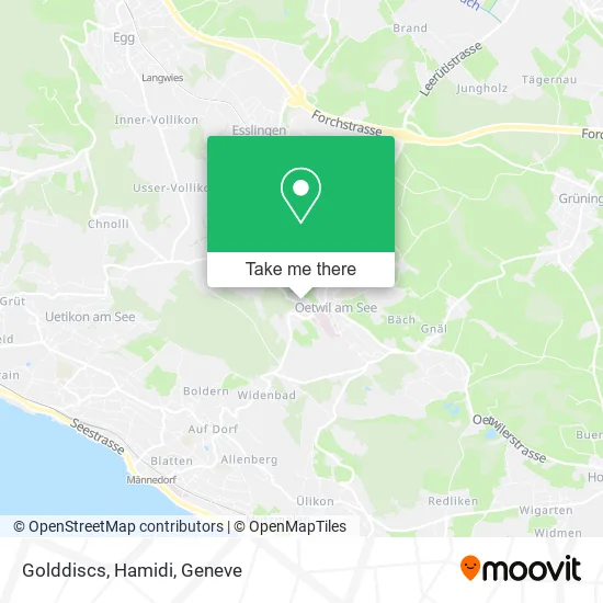 Golddiscs, Hamidi map