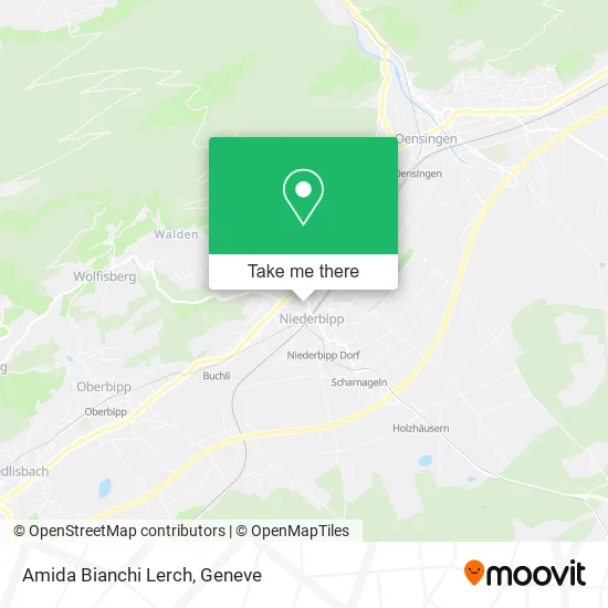 Amida Bianchi Lerch map