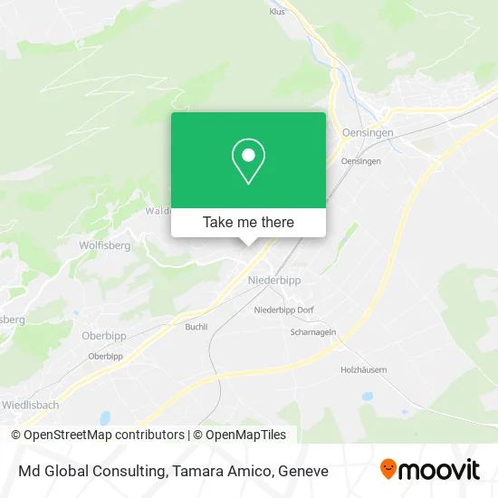 Md Global Consulting, Tamara Amico map