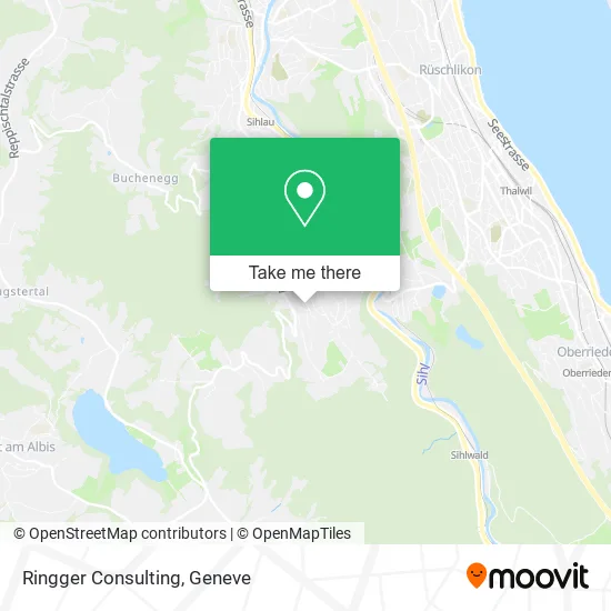 Ringger Consulting map