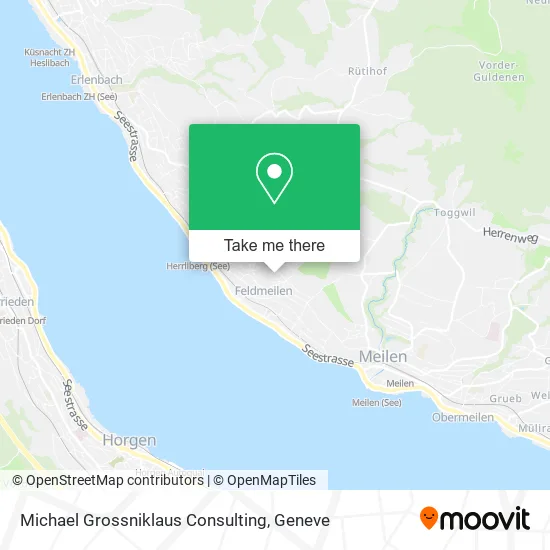 Michael Grossniklaus Consulting map