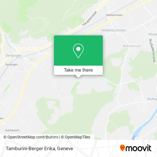 Tamburini-Berger Erika map