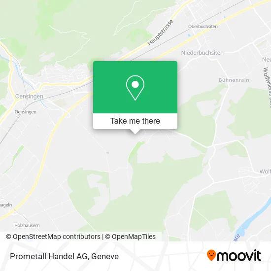 Prometall Handel AG plan