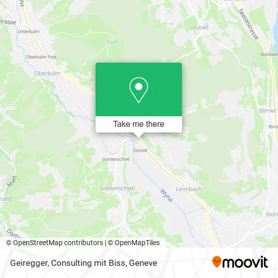 Geiregger, Consulting mit Biss plan
