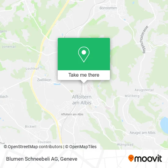 Blumen Schneebeli AG map