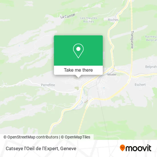 Catseye l'Oeil de l'Expert map