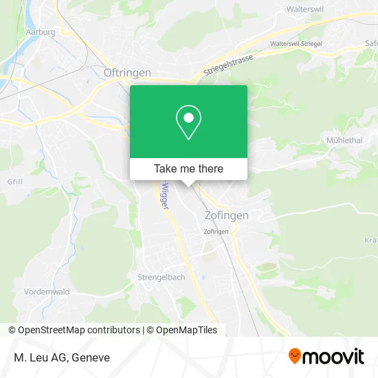 M. Leu AG map