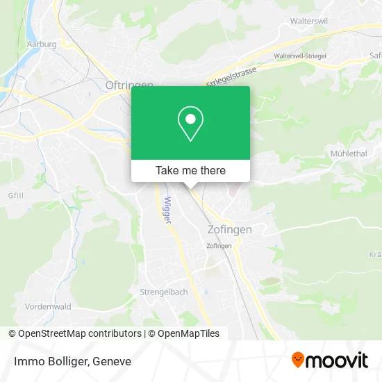 Immo Bolliger map