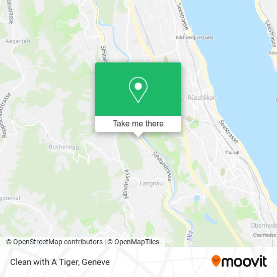 Clean with A Tiger plan