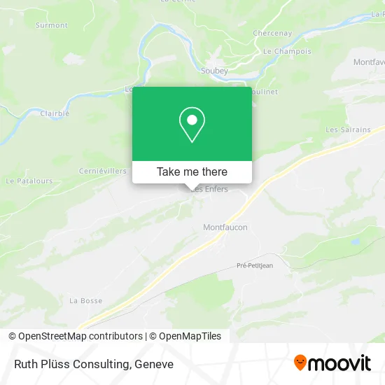 Ruth Plüss Consulting plan