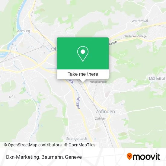 Dxn-Marketing, Baumann map
