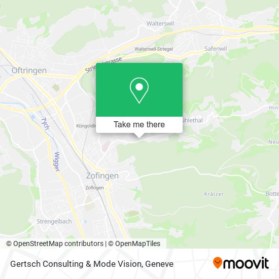 Gertsch Consulting & Mode Vision map