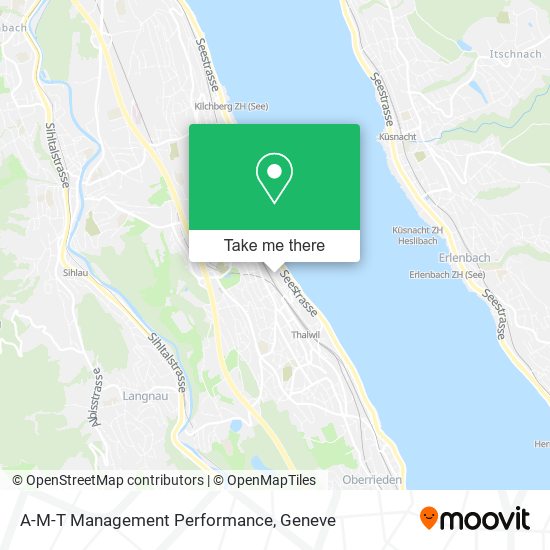 A-M-T Management Performance map
