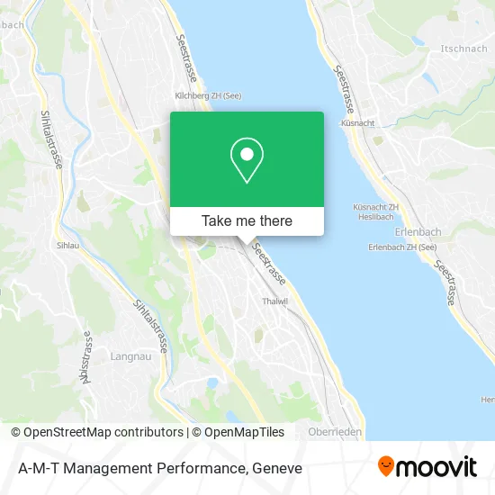 A-M-T Management Performance plan