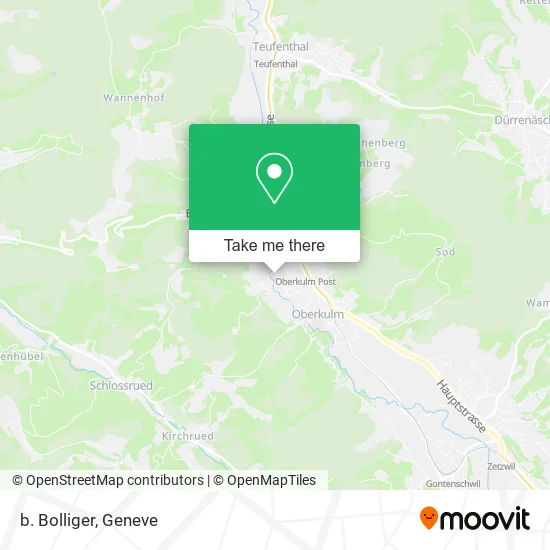 b. Bolliger map