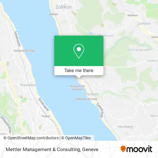 Mettler Management & Consulting map