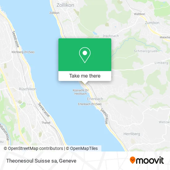 Theonesoul Suisse sa map