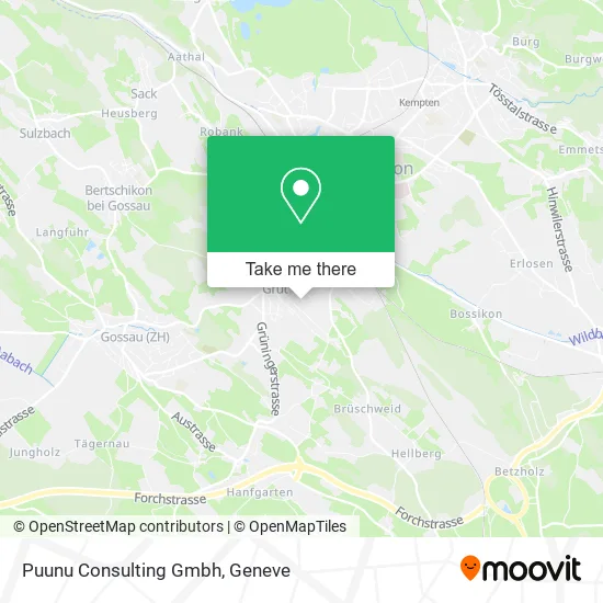 Puunu Consulting Gmbh map