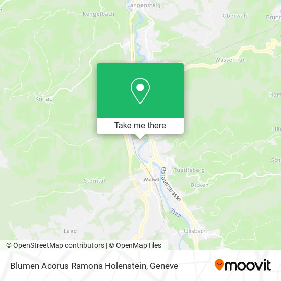 Blumen Acorus Ramona Holenstein map