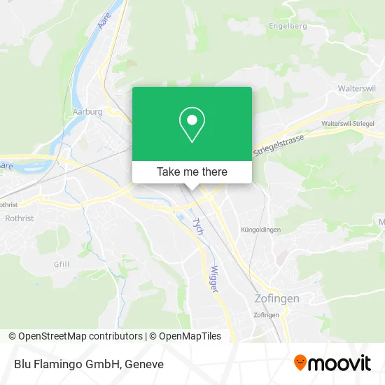 Blu Flamingo GmbH plan