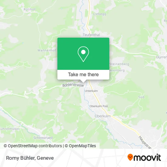 Romy Bühler map
