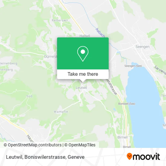 Leutwil, Boniswilerstrasse map