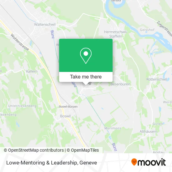 Lowe-Mentoring & Leadership map