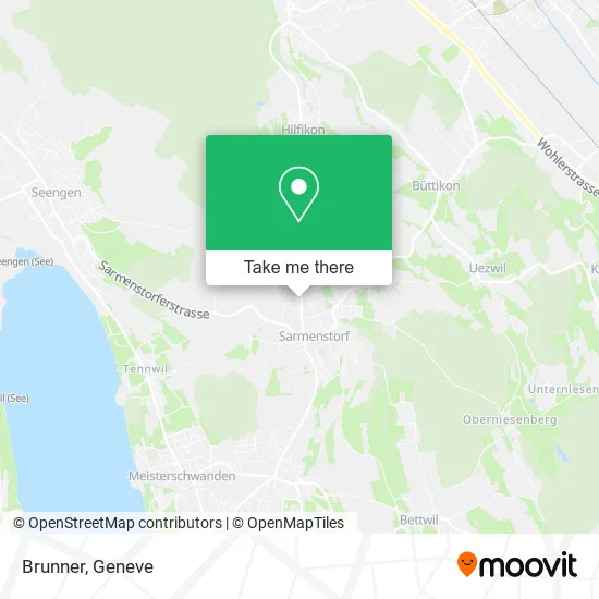 Brunner map