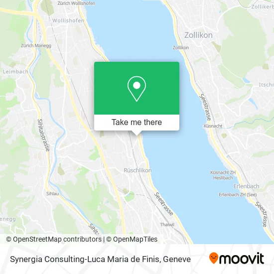 Synergia Consulting-Luca Maria de Finis map