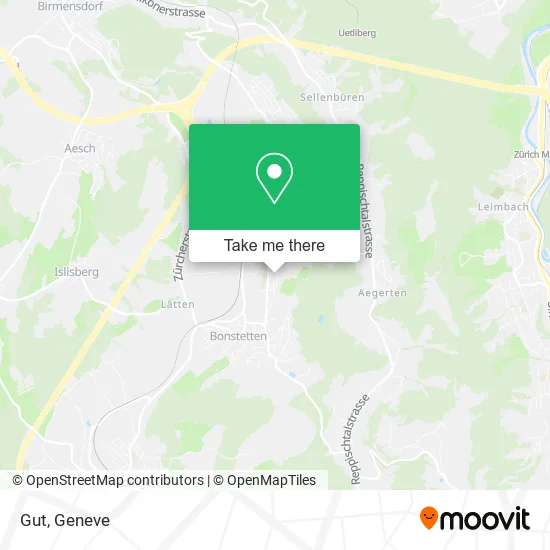 Gut map