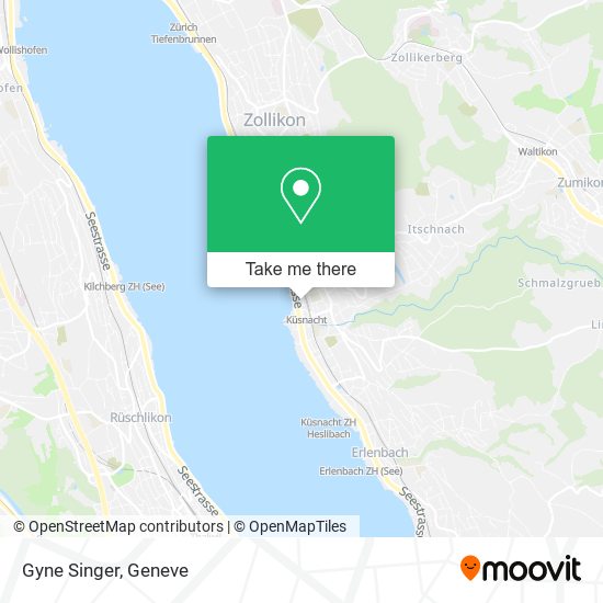 Gyne Singer map