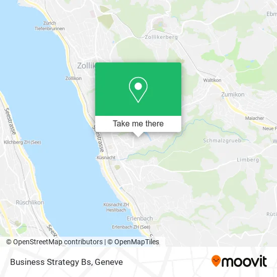 Business Strategy Bs map