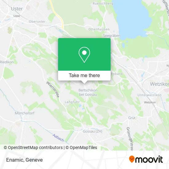 Enamic map