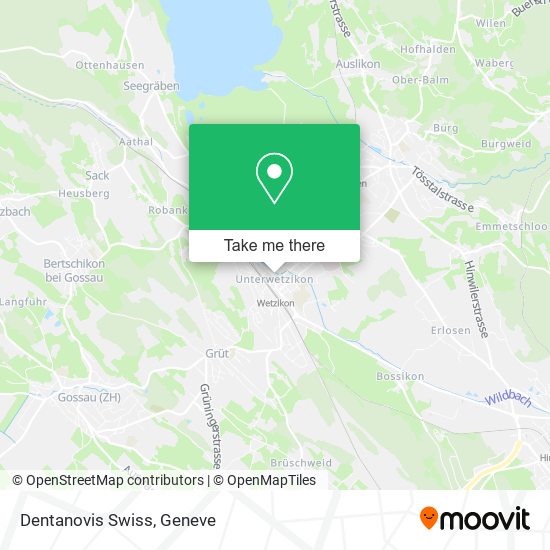 Dentanovis Swiss map