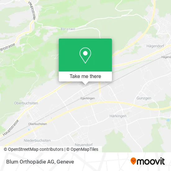 Blum Orthopädie AG map
