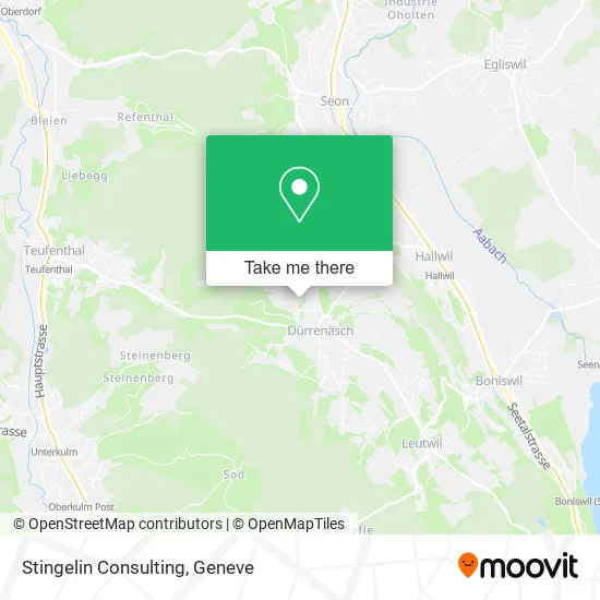 Stingelin Consulting map