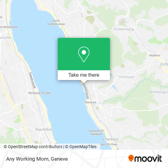 Any Working Mom plan