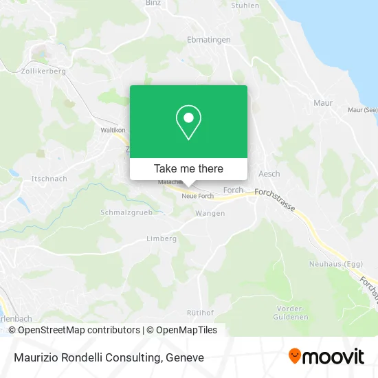 Maurizio Rondelli Consulting map
